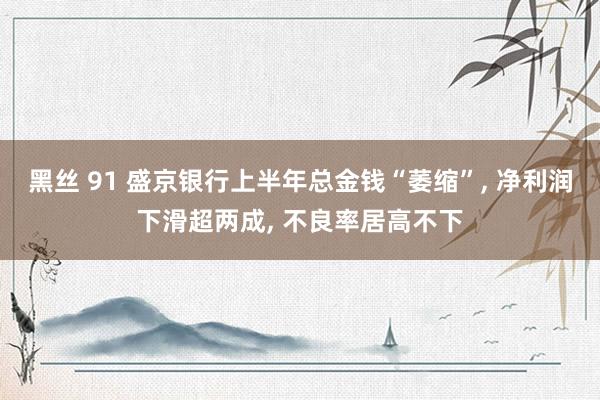 黑丝 91 盛京银行上半年总金钱“萎缩”， 净利润下滑超两成， 不良率居高不下