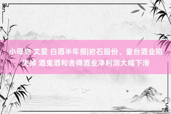 小母狗 文爱 白酒半年报|岩石股份、皇台酒业陷失掉 酒鬼酒和舍得酒业净利润大幅下滑