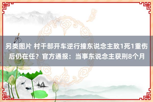 另类图片 村干部开车逆行撞东说念主致1死1重伤后仍在任？官方通报：当事东说念主获刑8个月