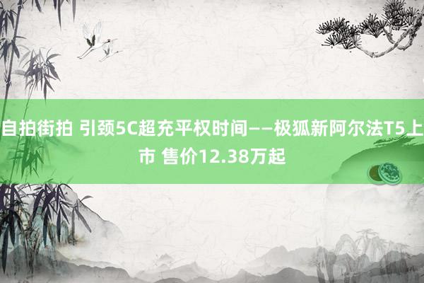 自拍街拍 引颈5C超充平权时间——极狐新阿尔法T5上市 售价12.38万起