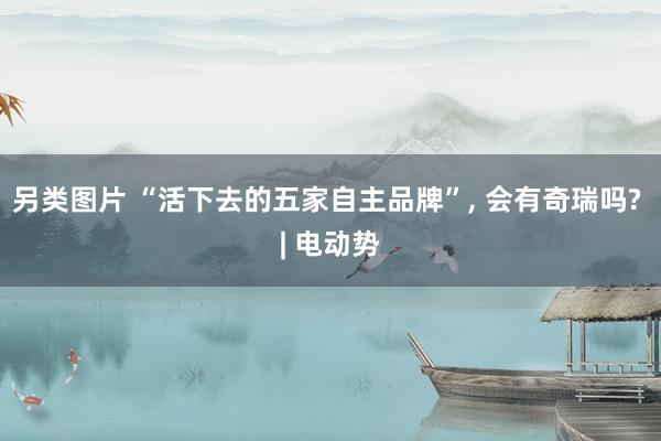 另类图片 “活下去的五家自主品牌”， 会有奇瑞吗? | 电动势