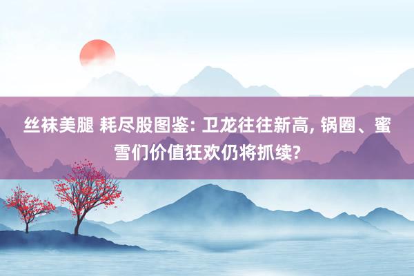 丝袜美腿 耗尽股图鉴: 卫龙往往新高， 锅圈、蜜雪们价值狂欢仍将抓续?